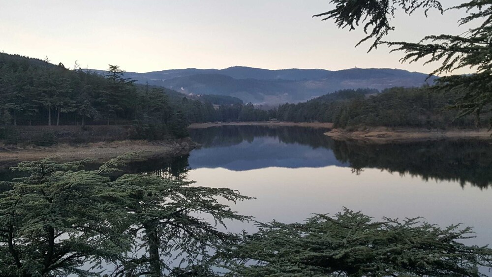 Lake View