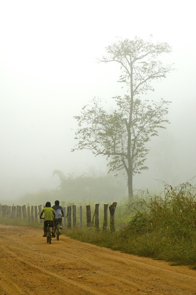 Bicycling