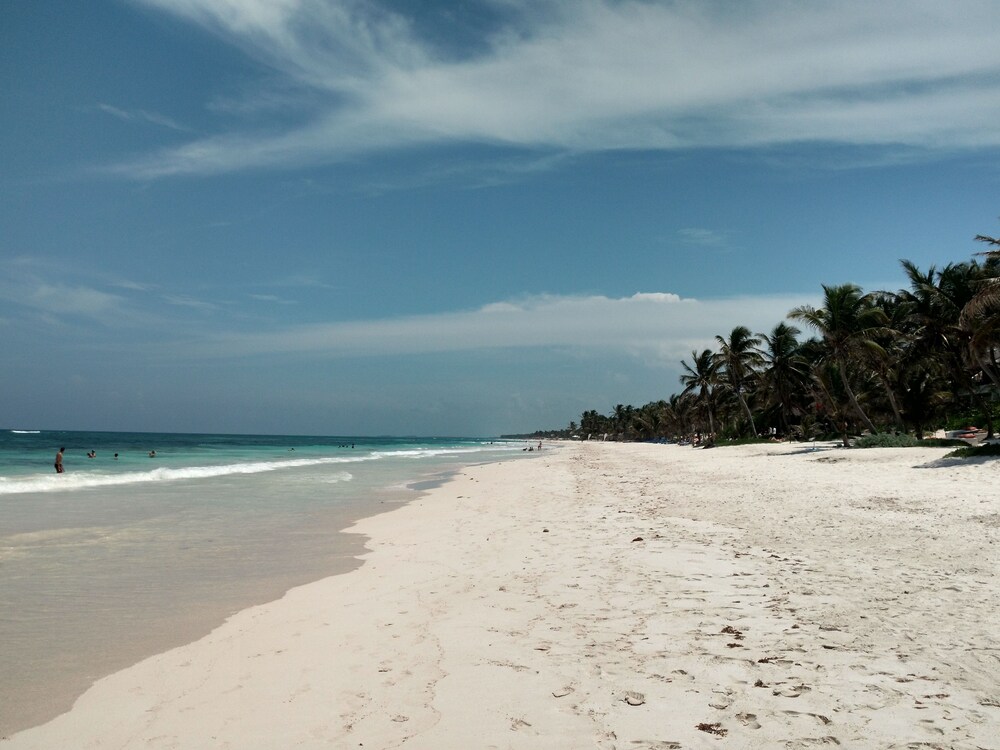 Beach/Ocean View