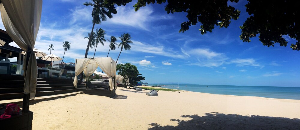 Beach/Ocean View
