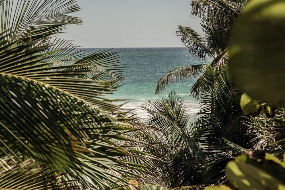 Beach/Ocean View