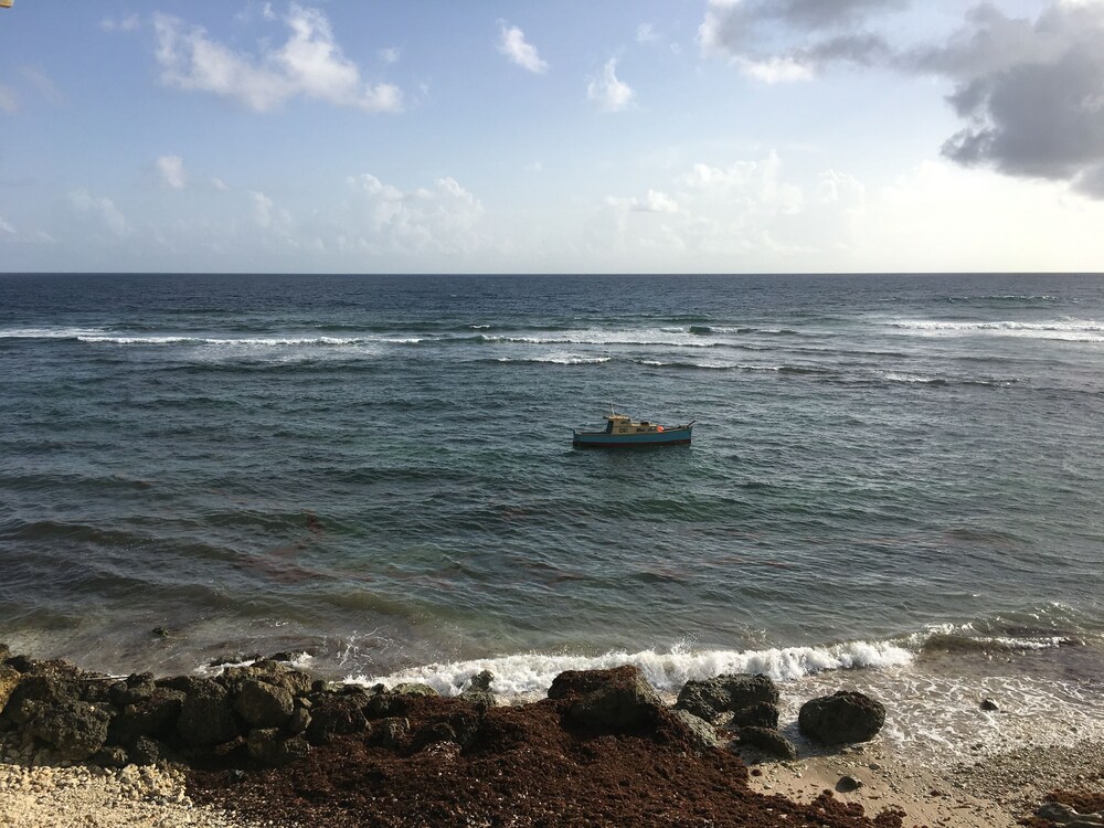 Beach/Ocean View