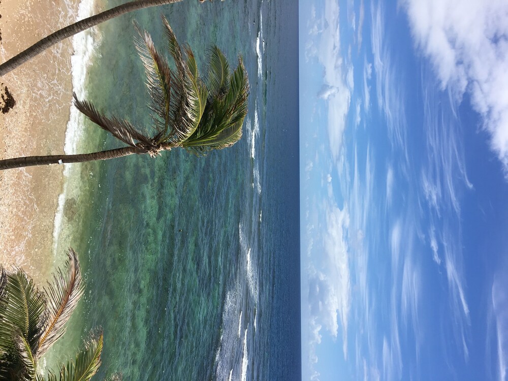 Beach/Ocean View