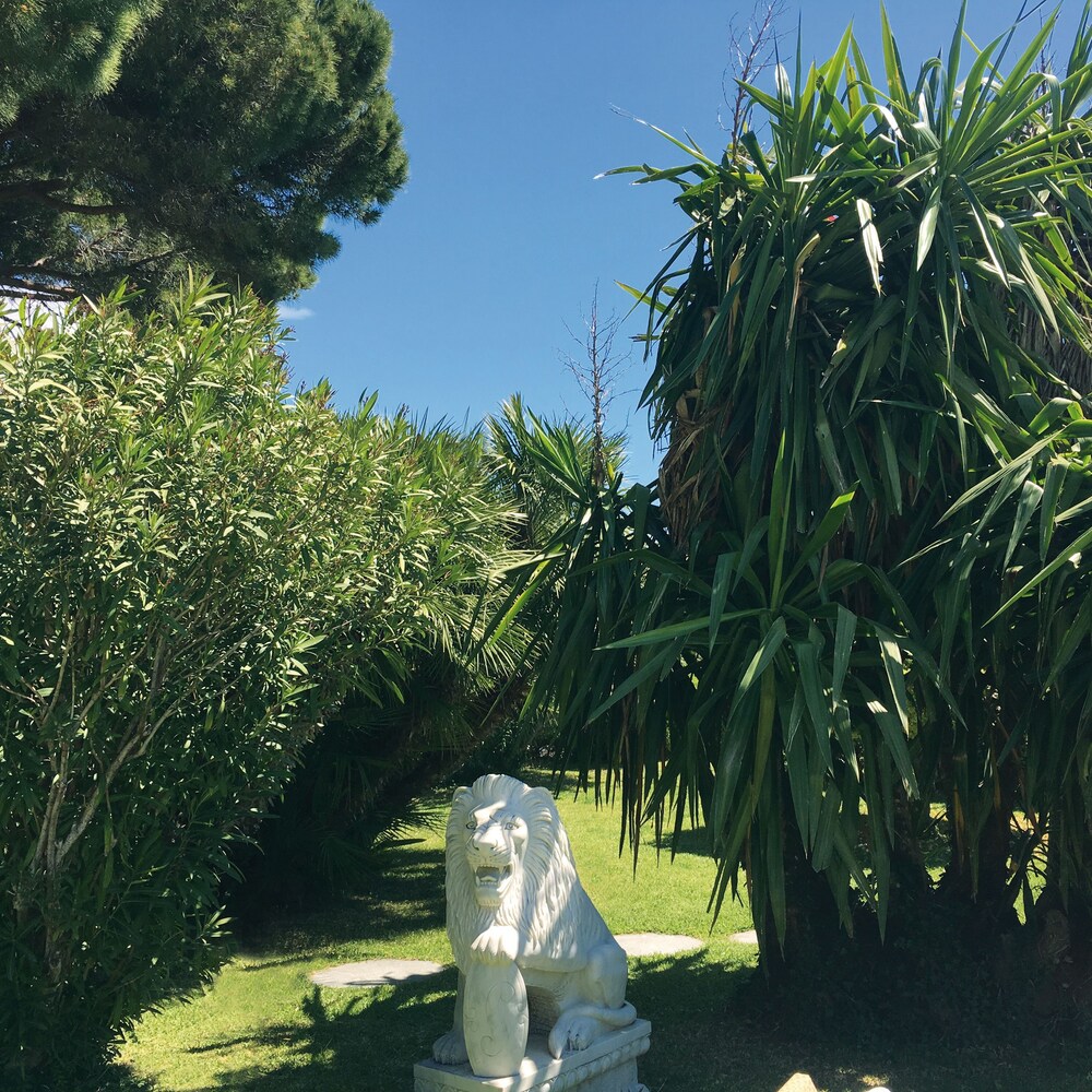 Giardino