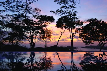 Infinity Pool