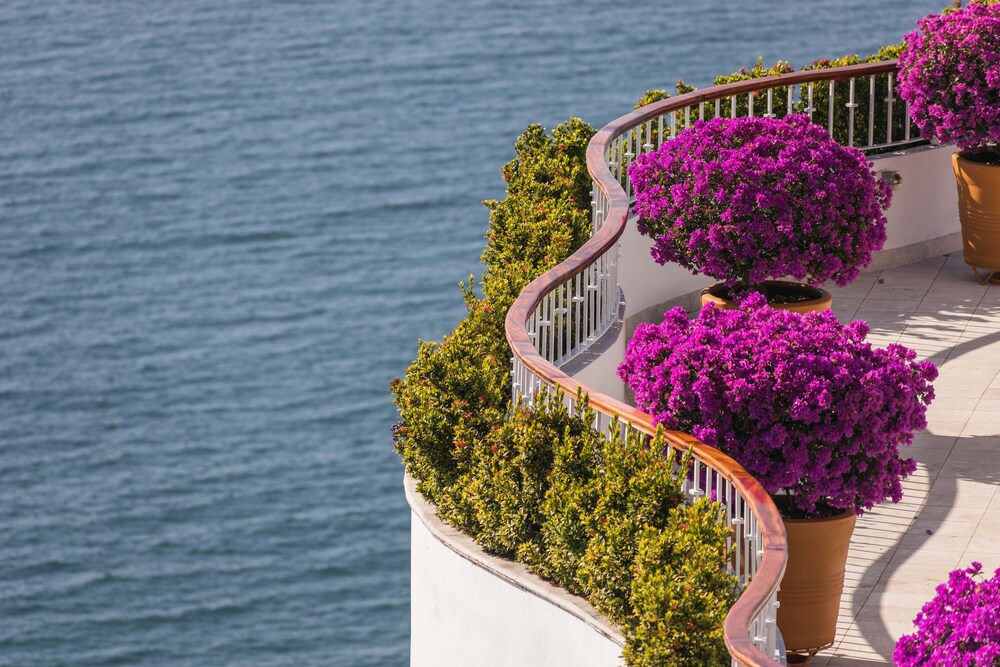 Sundeck