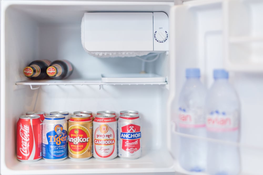 Mini-Refrigerator