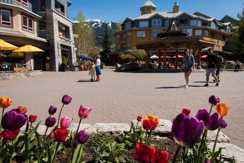 Whistler Town Plaza by Whiski Jack