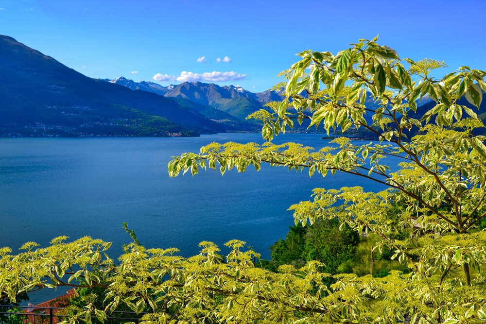 Lake View