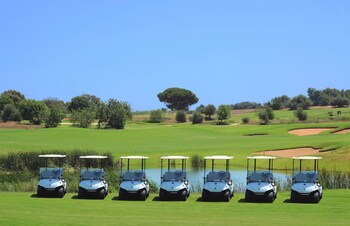 Golf Cart