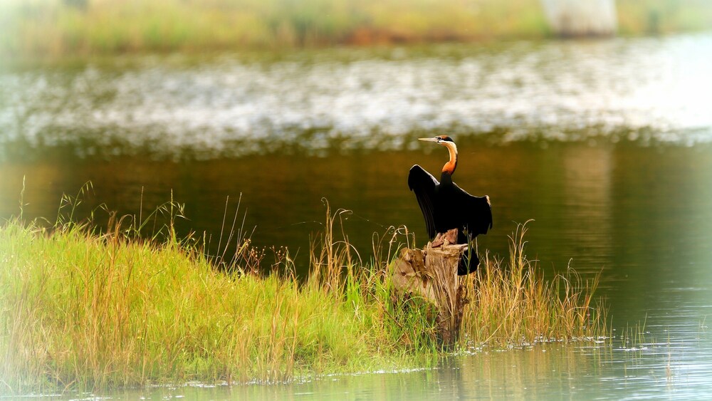 Fishing