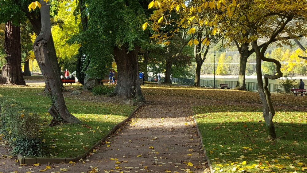 Childrens Play Area - Outdoor