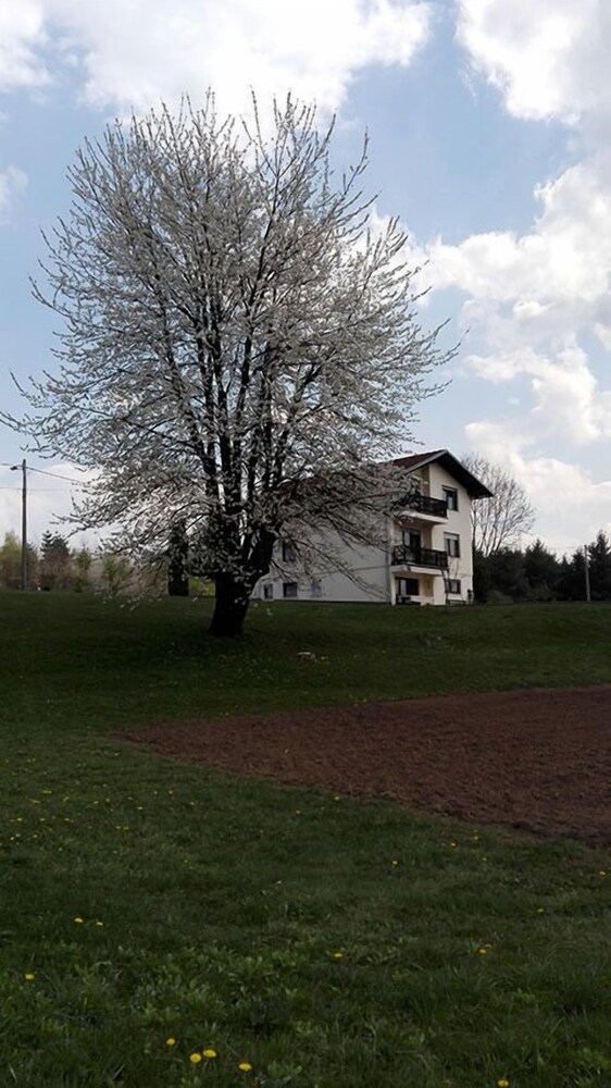 Featured Image