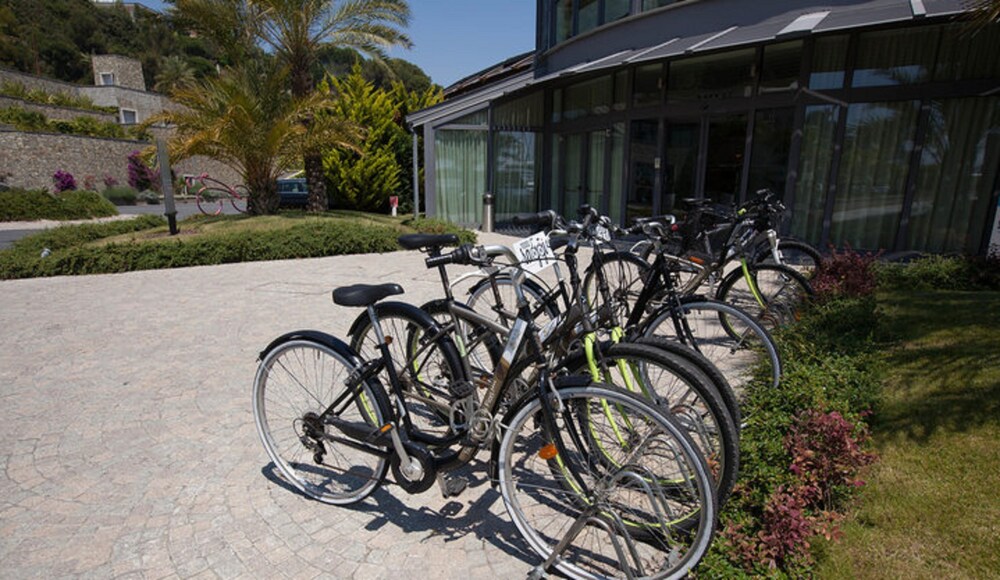 Bicycling