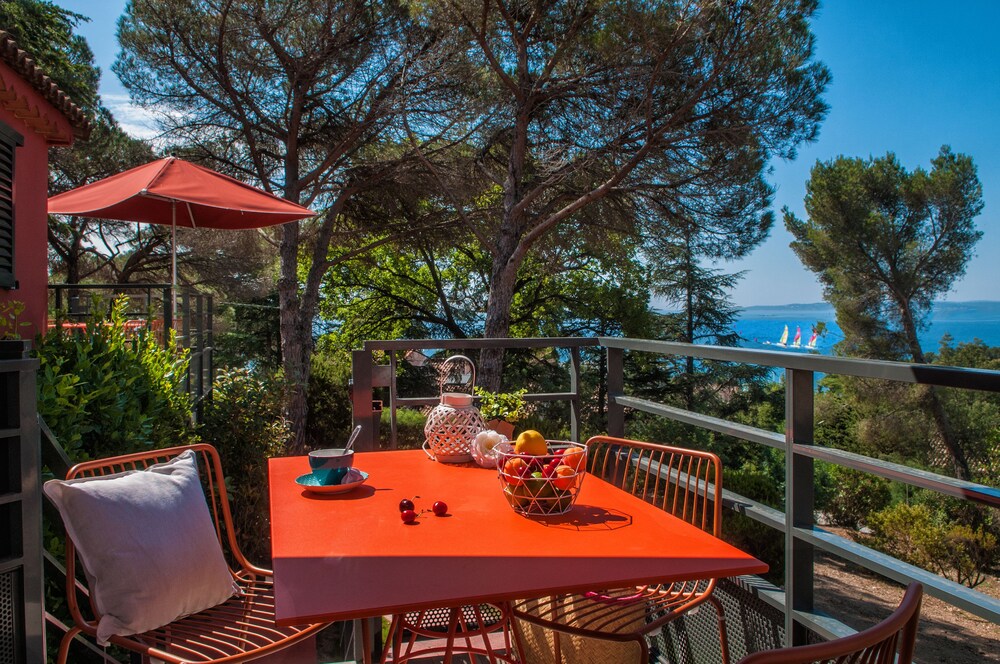 Terras
