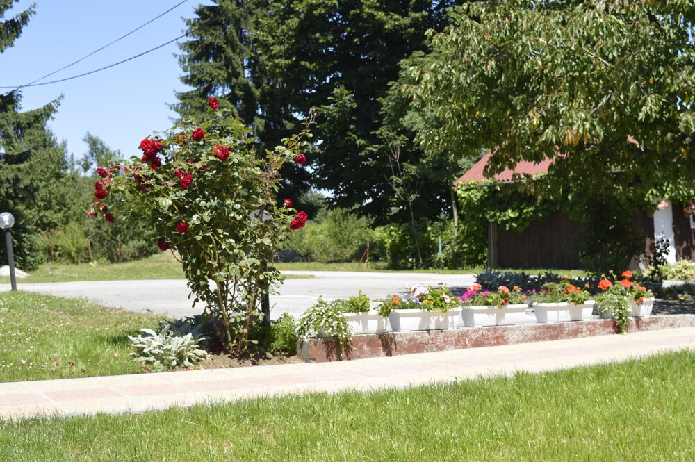Courtyard View