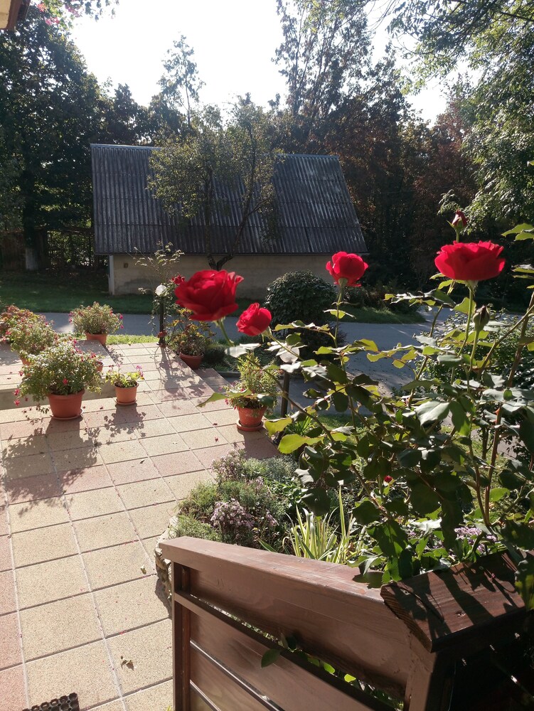 Courtyard View