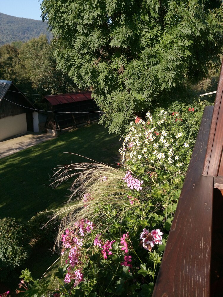 View from Hotel