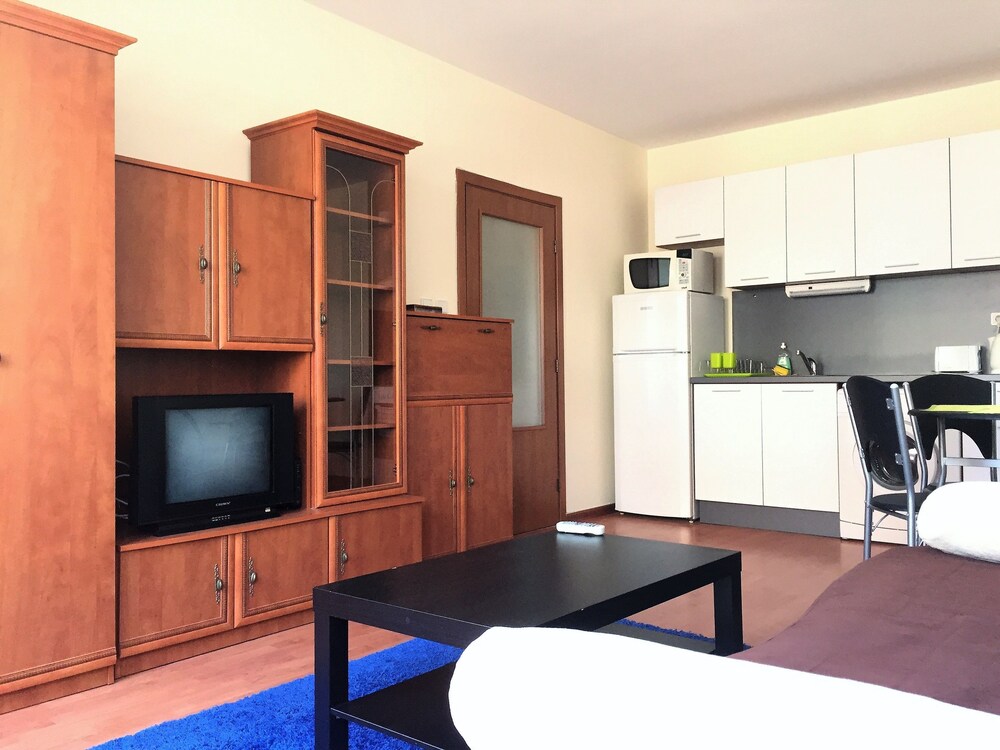 거실 공간 (One Bedroom Apartment (at 45 Pirotska Street))