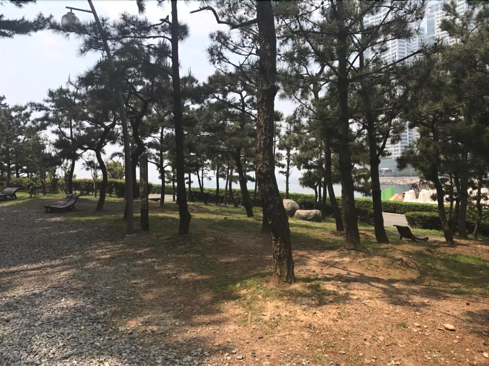 가볼 만한 곳