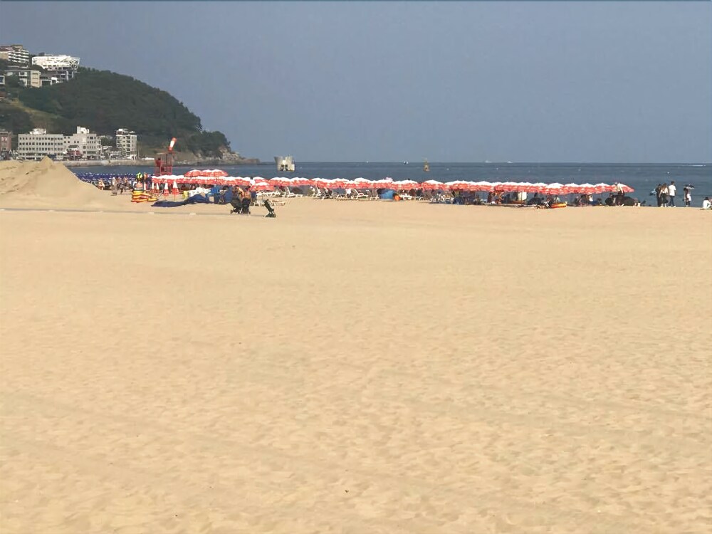가볼 만한 곳