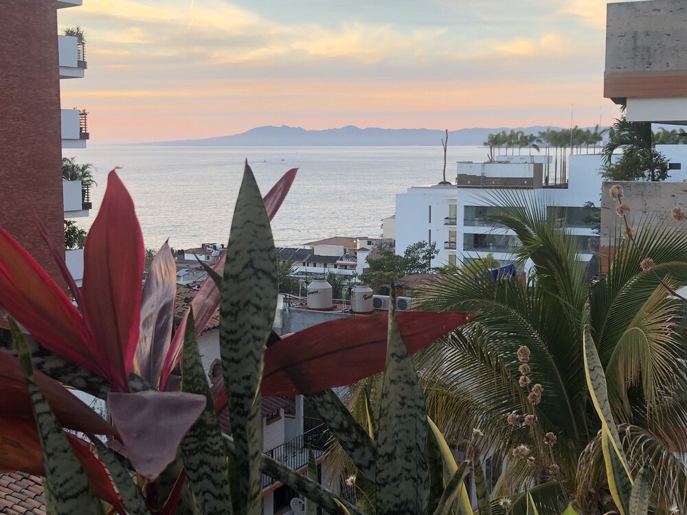 View from Hotel
