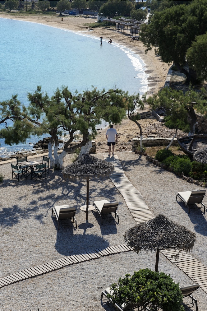 Beach/Ocean View