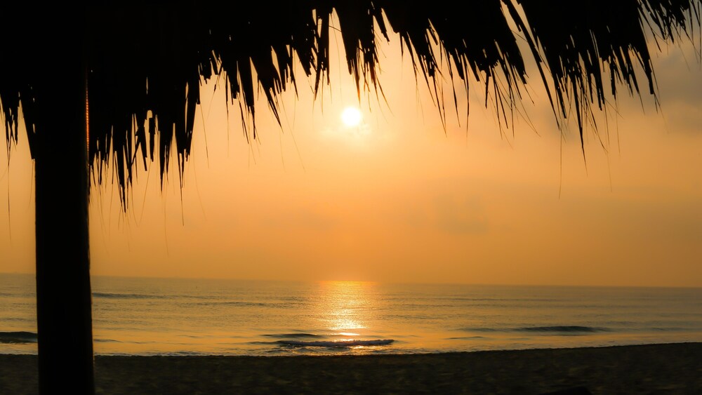 Beach/Ocean View