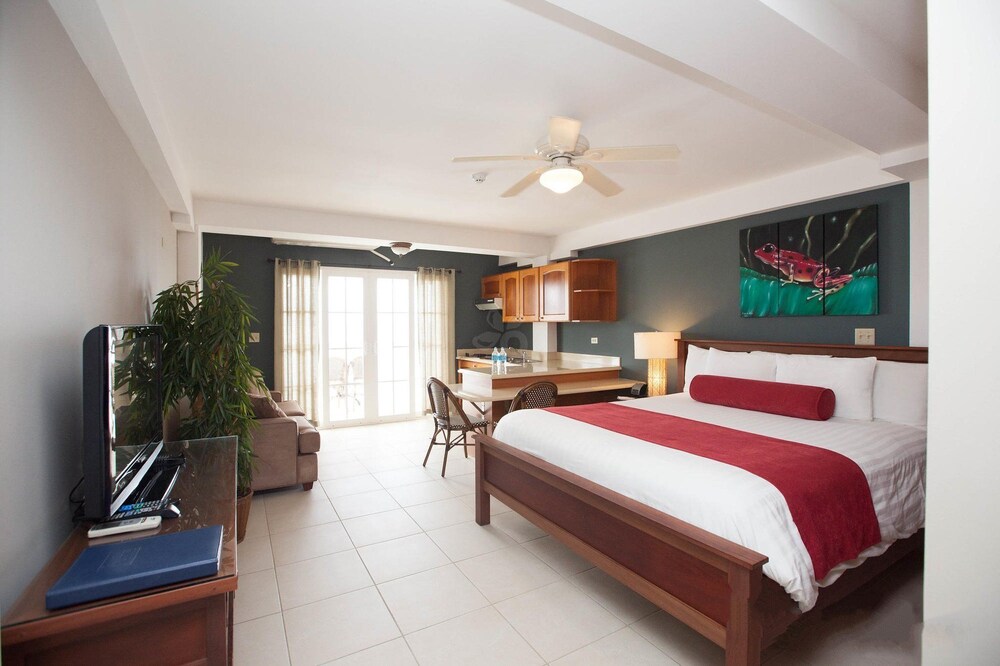 Town View King Suite - Guestroom