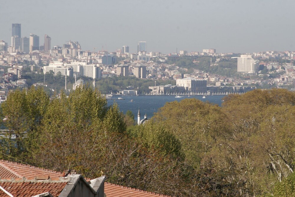 City View