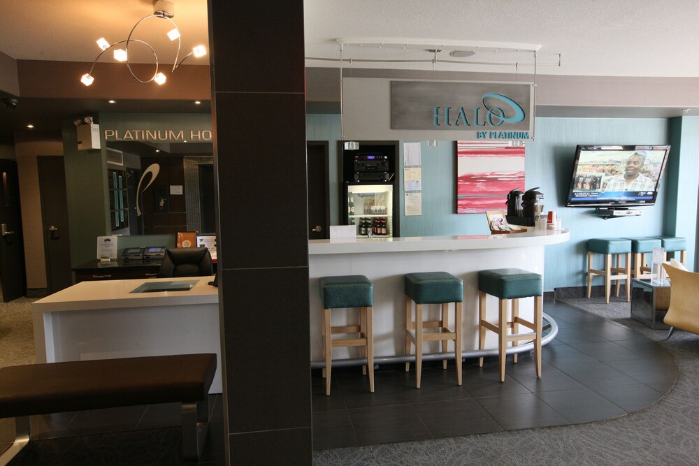 Hotel Bar