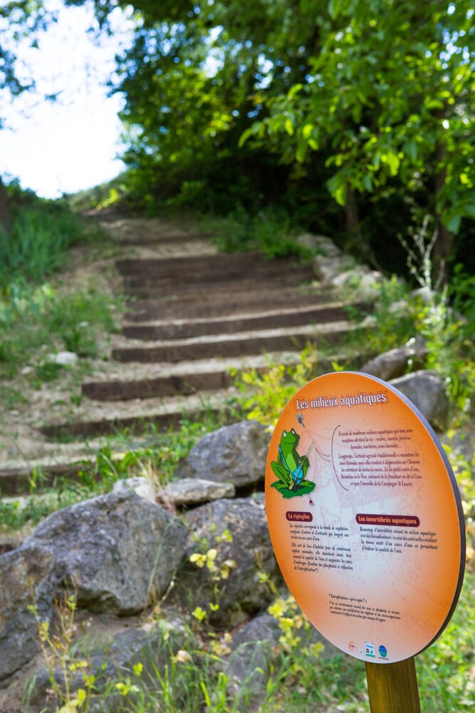 Parcours aventure (team building)