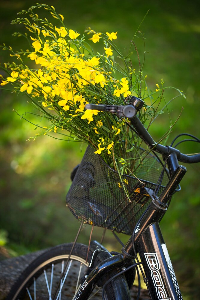 Vélo
