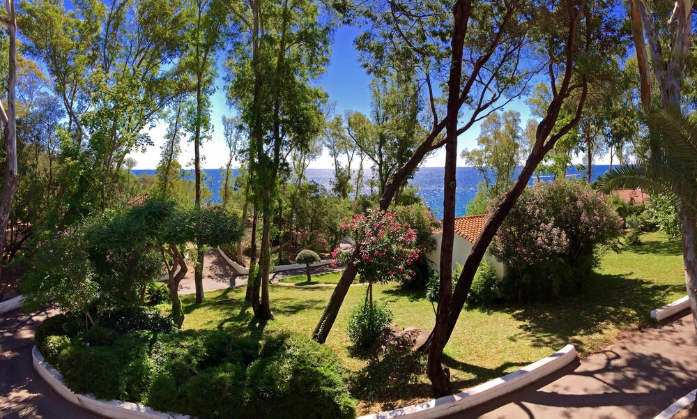Jardin
