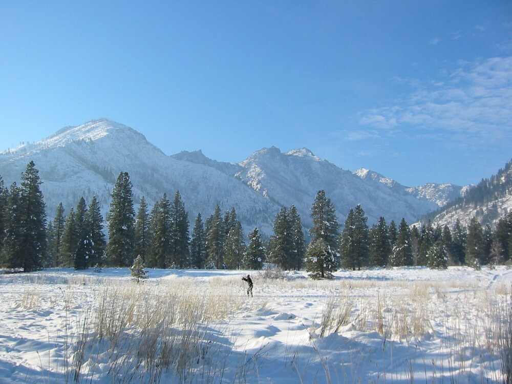 Skiing