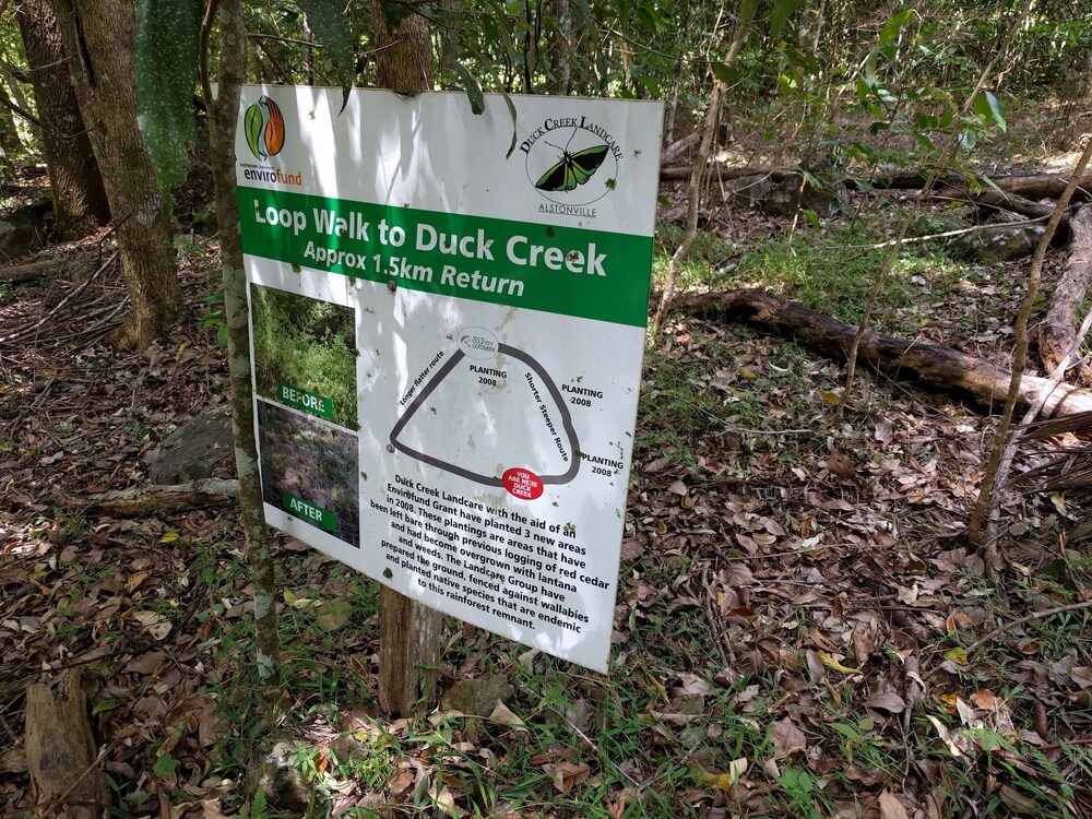 Hiking