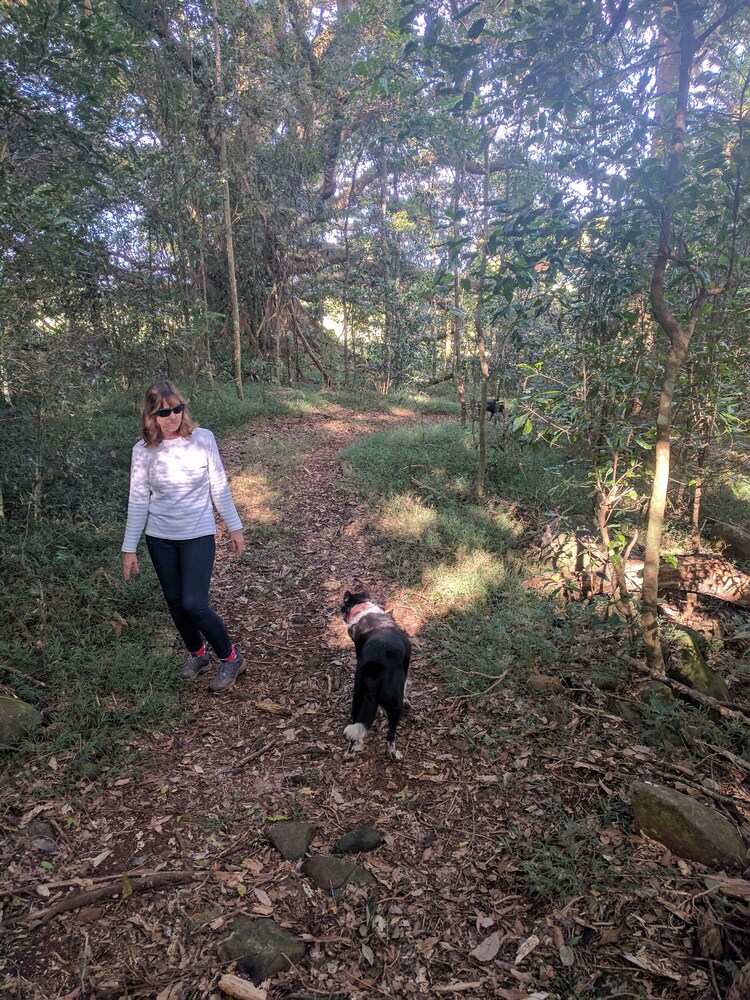 Hiking