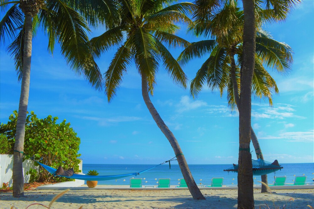 Beach/Ocean View