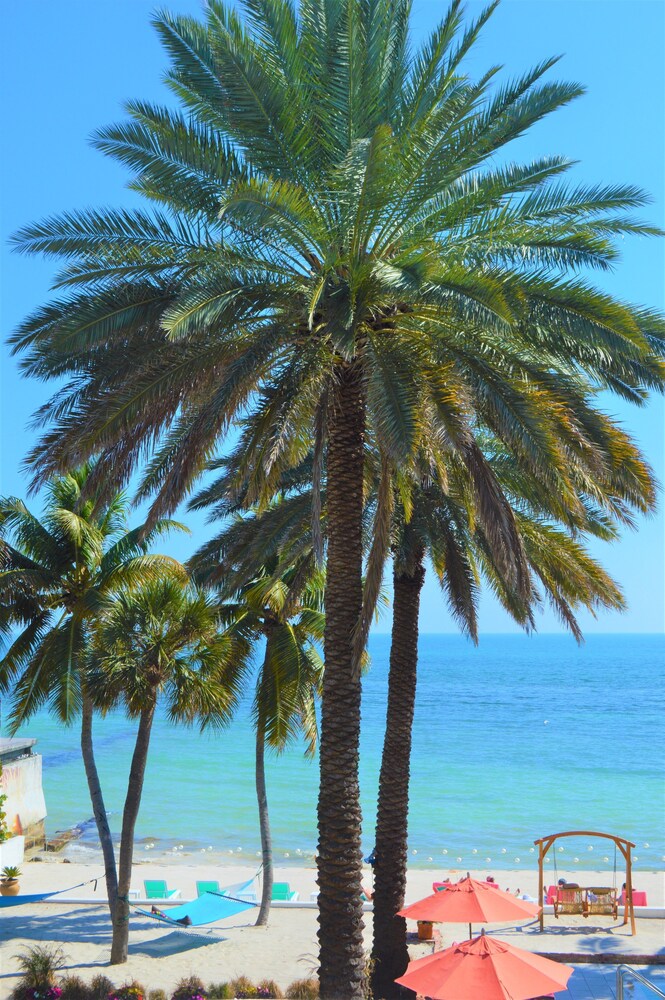 Beach/Ocean View