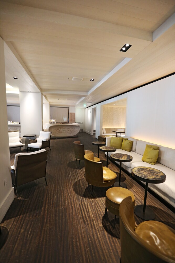 Hotel Lounge