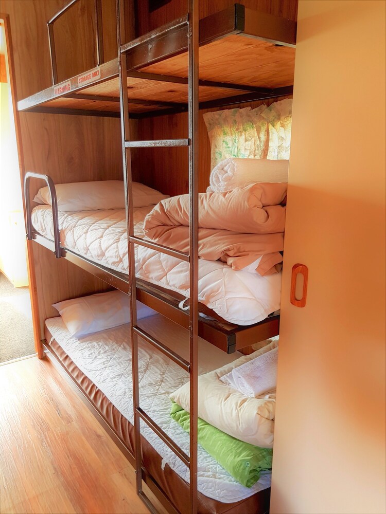 Economy Cabin - Medium - Guestroom