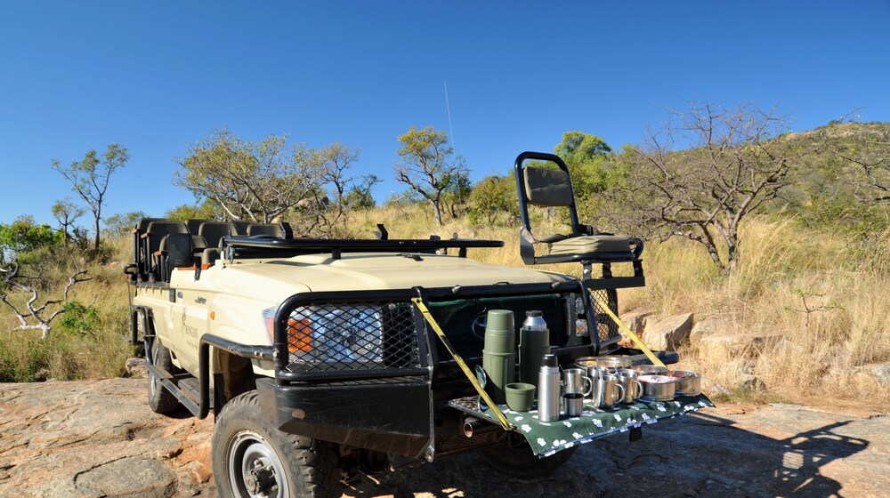 Safari