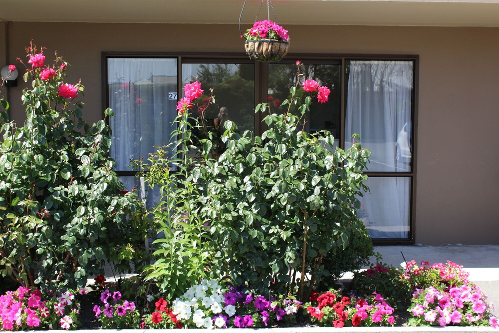 Guestroom View