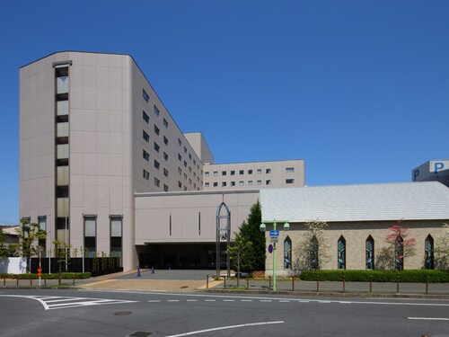 The Kashihara