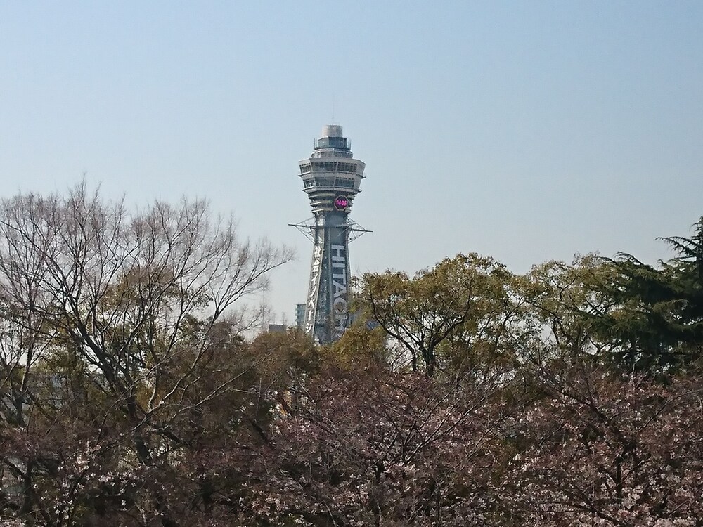 View from Hotel