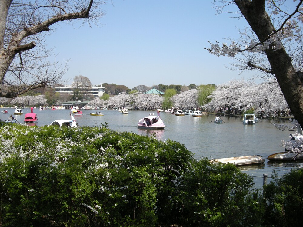 Lake