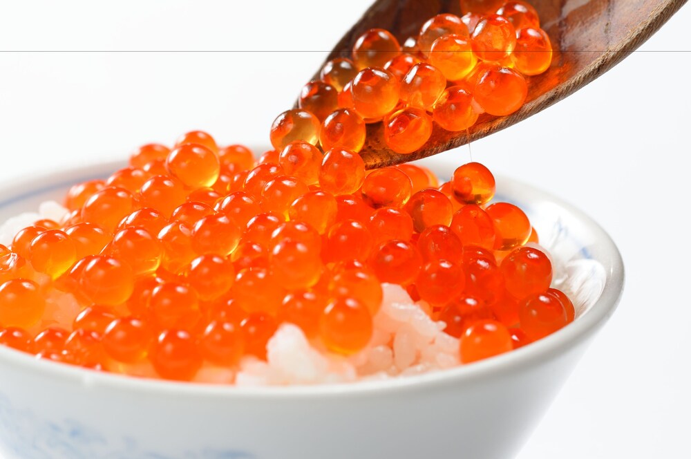 식사 및 음료
