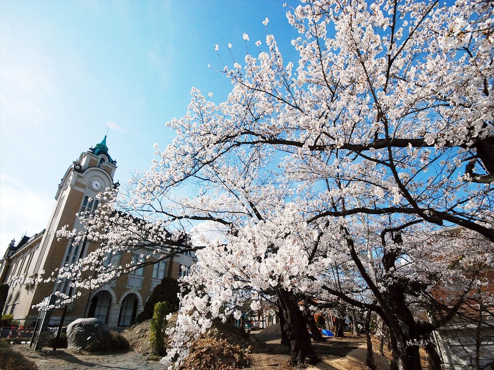 시내 전망