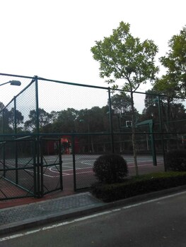 Basketball Court