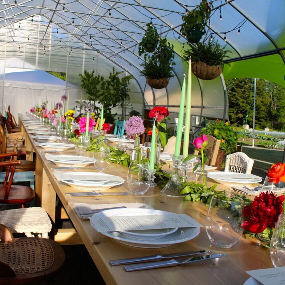 Outdoor Banquet Area